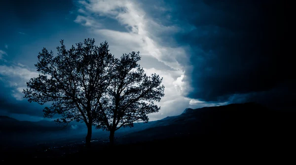 Twee bomen voor een storm — Stockfoto