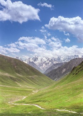 güzel alpine meadows