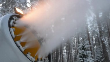 Kar topu, kış ormanlarında kar püskürtür..