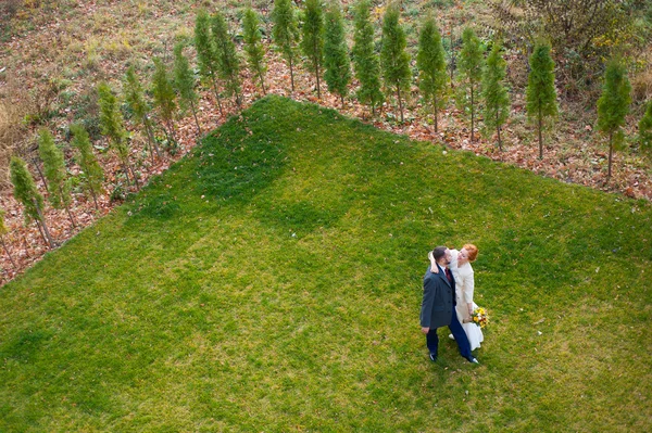 Braut und Bräutigam im grünen Gras — Stockfoto