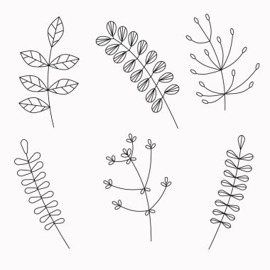  Beyaz arka planda dalların resmi, elle çizilmiş. Doodle Elementi