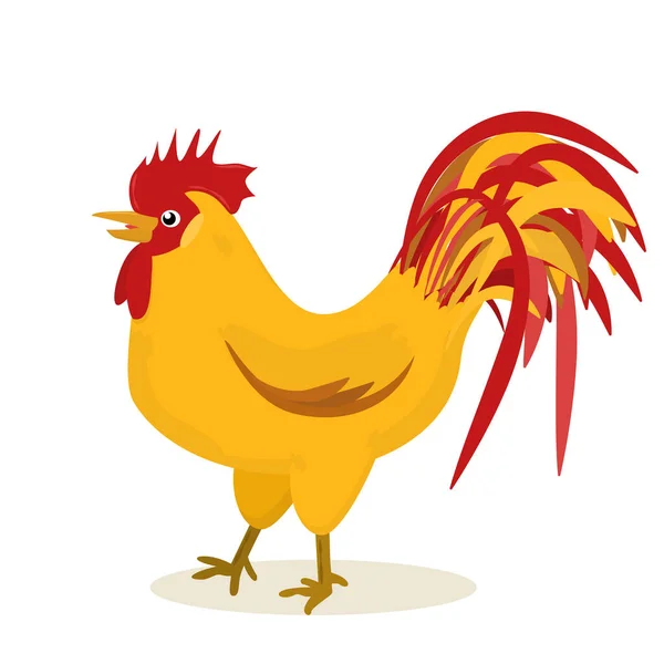 Ilustración Gallo Con Una Cola Color Sobre Fondo Blanco — Vector de stock