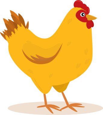  beyaz arkaplanda çizgi film tarzı tavuk çizimi