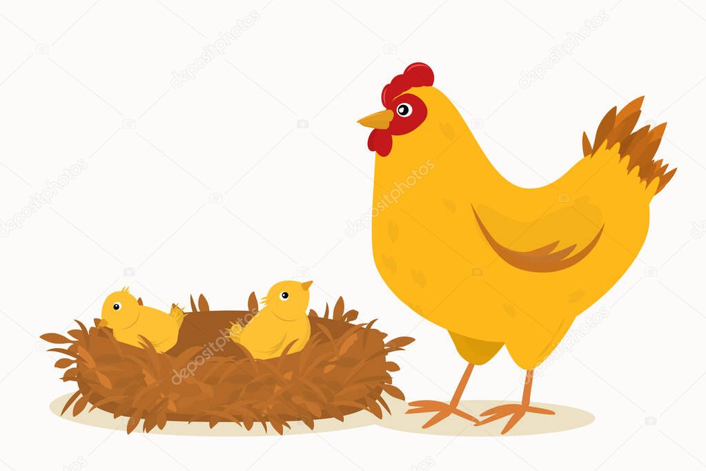  illustration of a chicken standing next to a nest of chickens