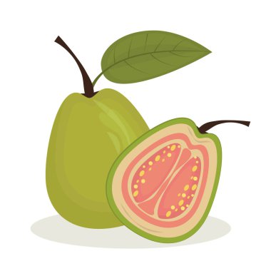  Beyaz arkaplanda izole edilmiş guavaların vektör çizimi