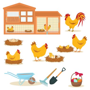  vector set of illustrations on the theme of chickens on a farm isolated on a white background