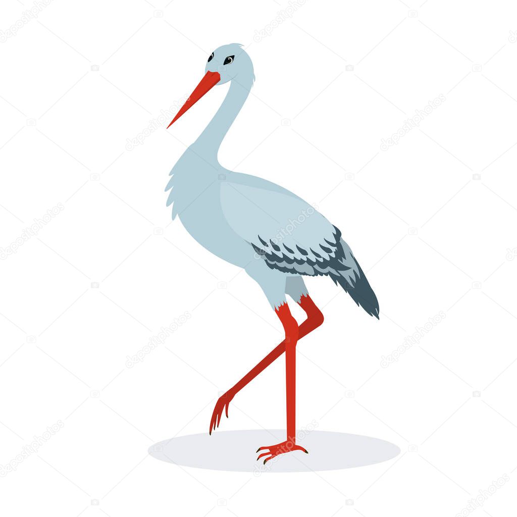  vector illustration of a stork isolated on a white background