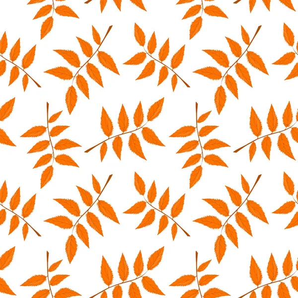 Vector Pattern Autumn Leaves White Background — Stock Vector