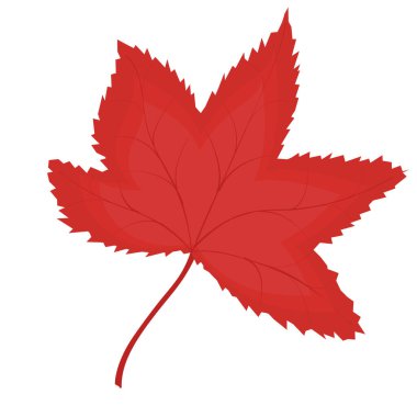  Beyaz arkaplanda izole edilmiş bir sonbahar yaprağının vektör çizimi