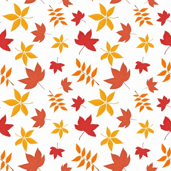 Vector Pattern Autumn Leaves White Background — Stock Vector