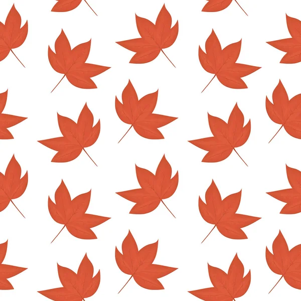 Vector Pattern Autumn Leaves White Background — Stock Vector