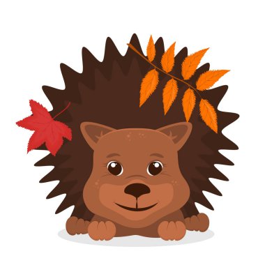  Üzerinde sonbahar yaprakları olan komik bir kirpinin beyaz arka planda izole edilmiş vektör çizimi