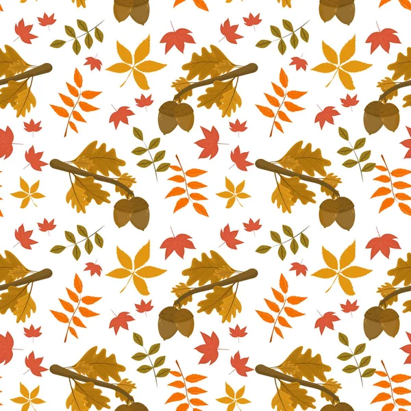 Autumn Vector Pattern Oak Branches Leaves Acorns White Background — Stock Vector