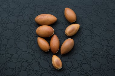 argania spinosa  - argana