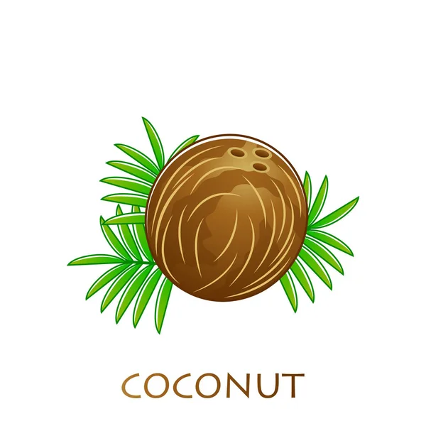 Affiche de fruits de coco en style dessin animé. frais juteux. isolé sur fond blanc y compris la légende noix de coco. Illustration vectorielle. — Image vectorielle