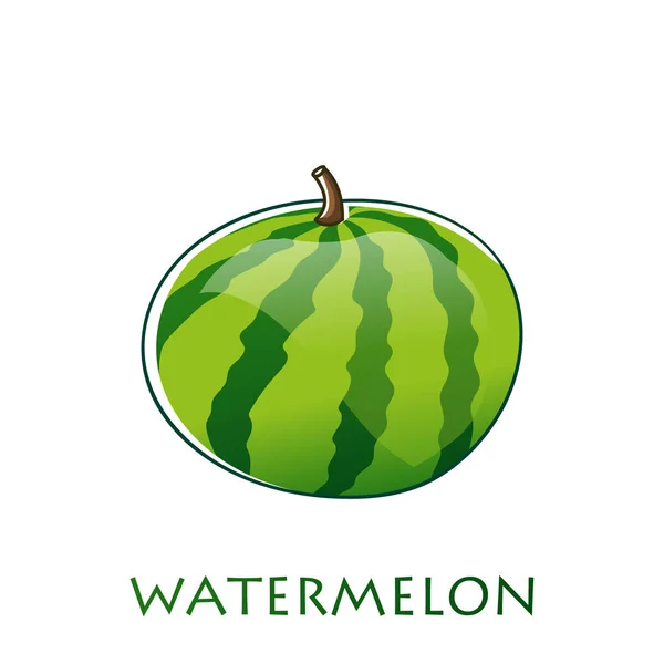 Watermeloen vector illustratie in plat ontwerp geïsoleerd op witte achtergrond. — Stockvector