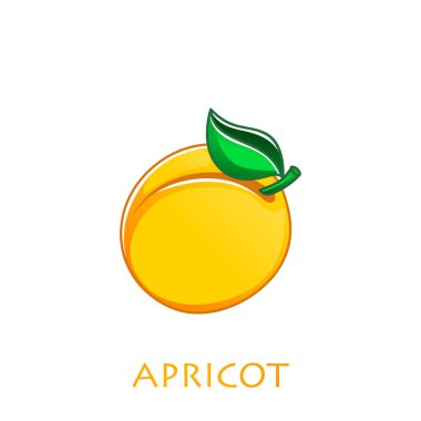 Kayısı. Beyaz arka planda taze meyve. Vektör illüstrasyonu