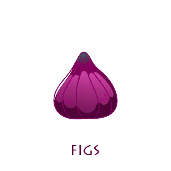 파이 그 과일 벡터 디자인. Fig vector illustration. — 스톡 벡터