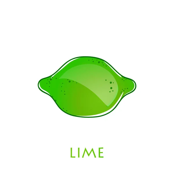 Lime készlet. Izolált mész fehér alapon — Stock Vector