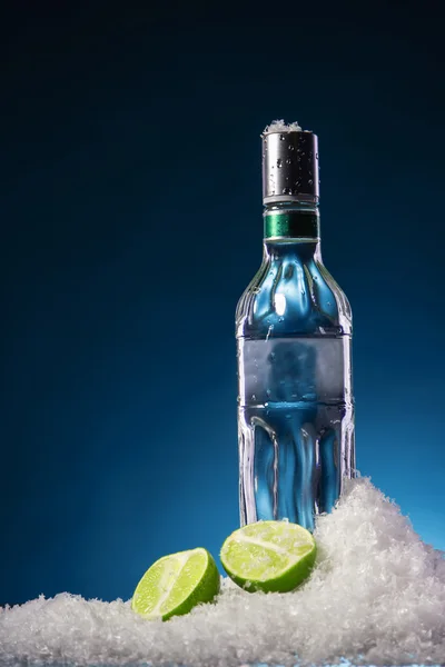 Flaska vodka och lime skiva — Stockfoto