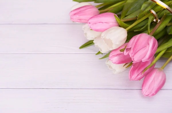 white tulips on white wooden background