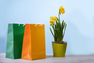 Paper bag. Empty and clean mockup for design.