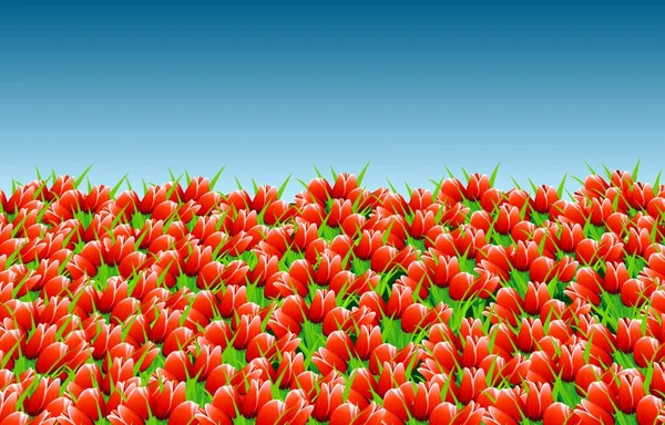 Сезон Цветов Тюльпанов Низине — стоковый вектор