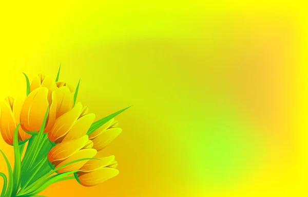 黄色底图中的黄色郁金香 基本Rgb — 图库矢量图片