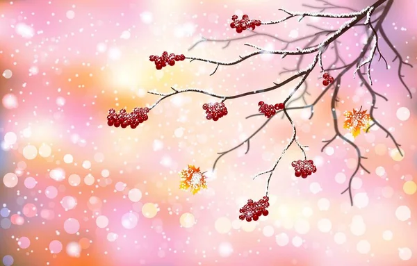 Winter Scenes Branch Red Fruit Falling Leaves Snow — Stock Vector