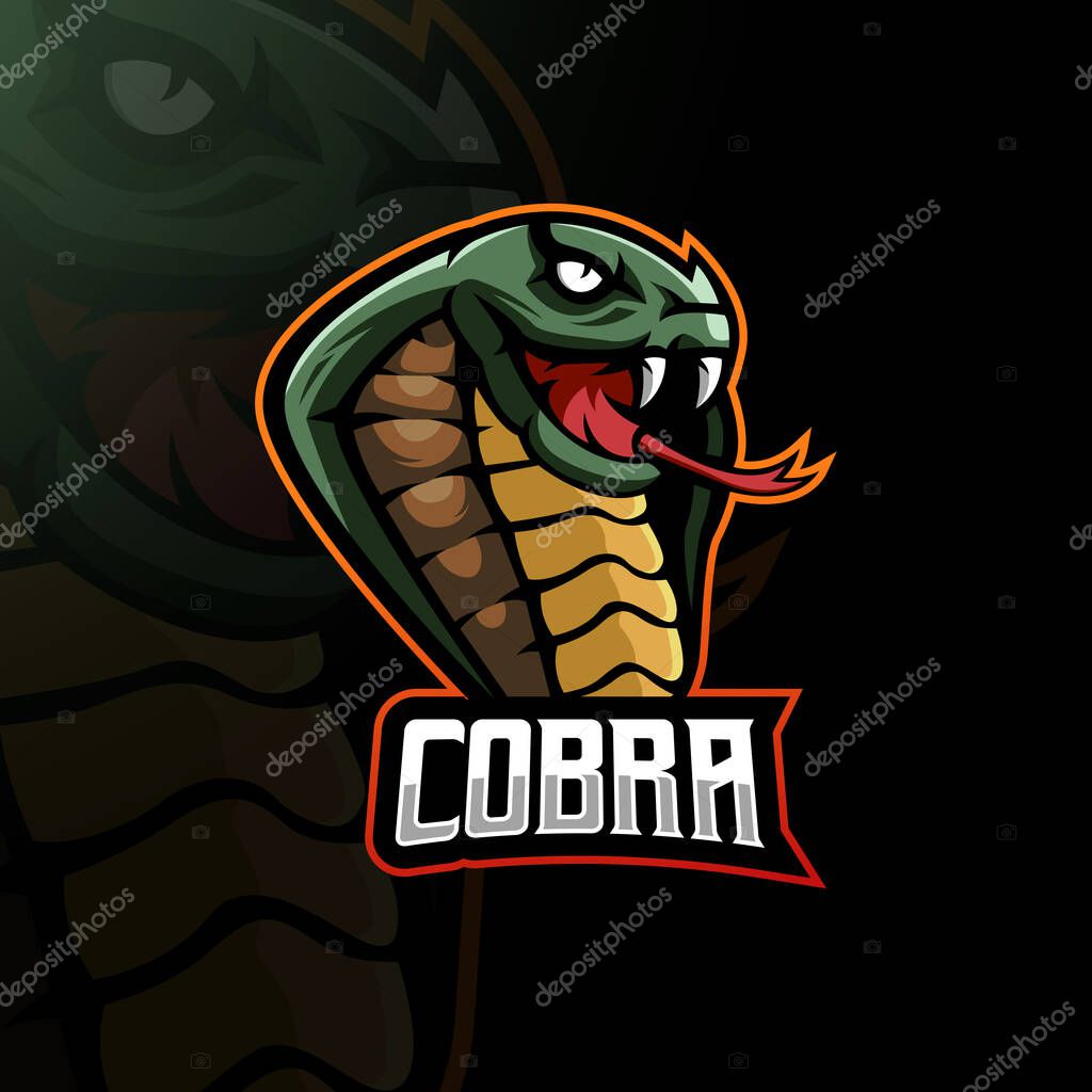 Cobra mascot logo design vector with modern illustration concept style for badge, emblem and t-shirt printing. Angry snake illustration for team, sports, gaming