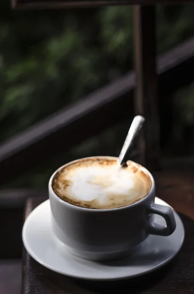 A cup of cappuccino in nature — Stock Photo, Image