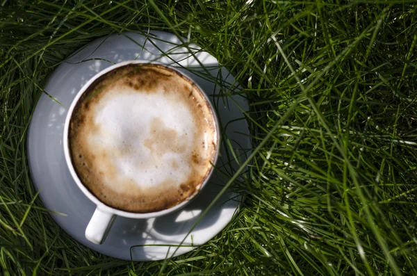 A cup of cappuccino in nature — Stock Photo, Image