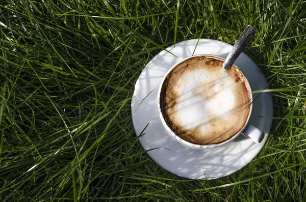 A cup of cappuccino in nature — Stock Photo, Image