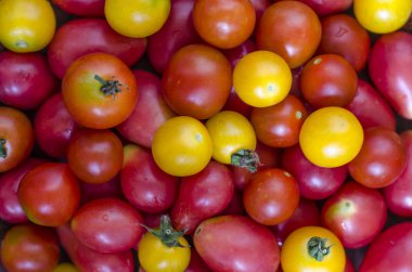 kiraz domates ve kağıt  