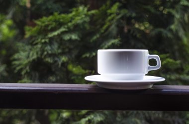 Bir fincan kahve niteliğine   