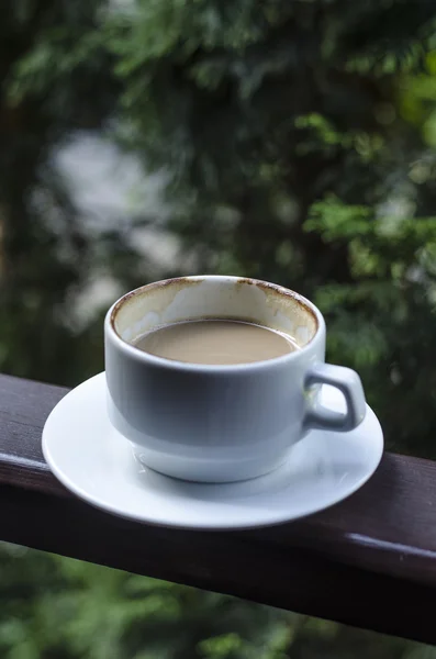Una taza de café en la naturaleza — Foto de Stock