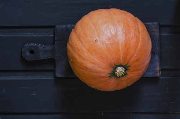 Calabaza en la pizarra negra —  Fotos de Stock