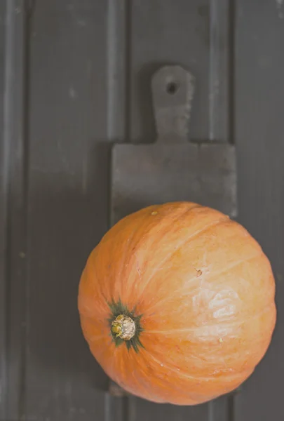 Pumpkin on the black board — Stock Photo, Image