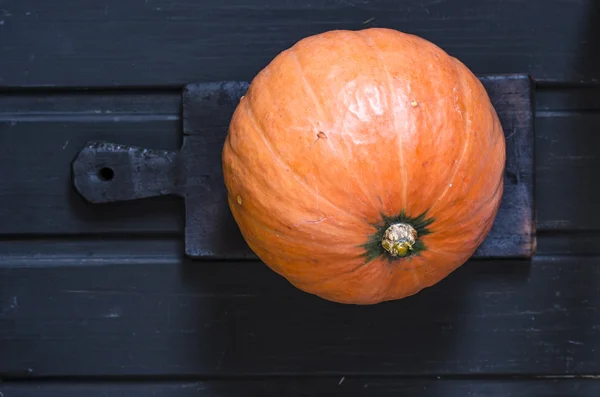 Pumpkin on the black board — Stock Photo, Image