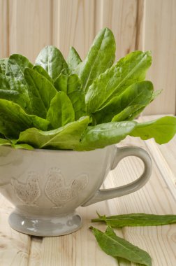 demet ıspanak Kupası