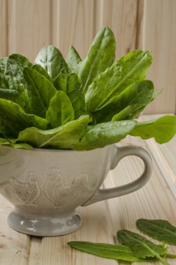 demet ıspanak Kupası