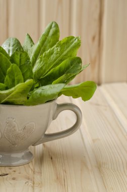 demet ıspanak Kupası