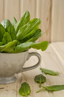 demet ıspanak Kupası