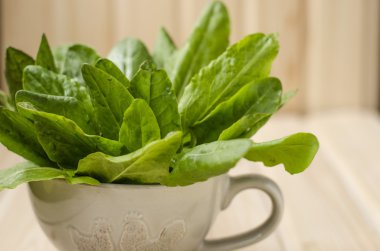 demet ıspanak Kupası