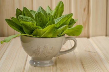 demet ıspanak Kupası