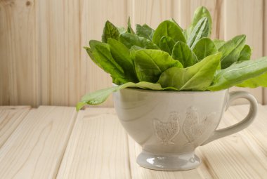 demet ıspanak Kupası