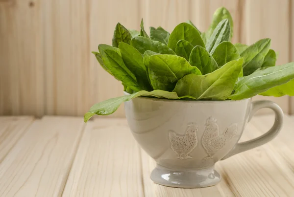 Bundel van spinazie in cup — Stockfoto