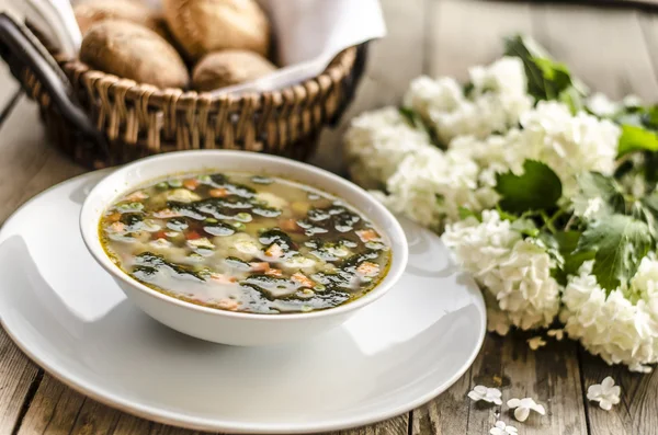 Italienskt minestronesoppa — Stockfoto