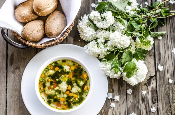 Italienskt minestronesoppa — Stockfoto