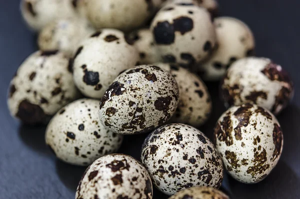 Quail eggs — Stock Photo, Image